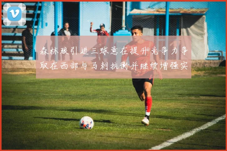 森林狼引进三球意在提升竞争力争取在西部与马刺抗衡并继续增强实力